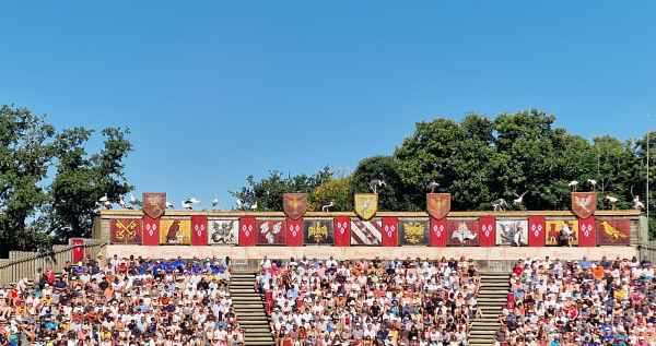  2025 08 08 1044 le bal des oiseaux fantomes puy du fou 043 