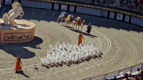  2025 08 08 1135 le signe du triomphe puy du fou 134 