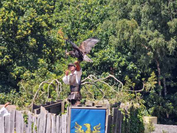 2025 08 09 1452 birds le bal des oiseaux fantomes puy du fou 151 