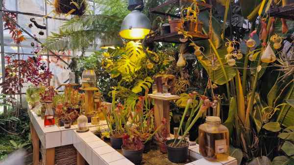  2025 08 11 1133 les machines de l ile nantes 078 