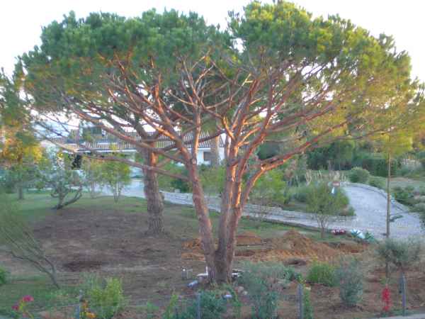 2007 10 11 albufuria algarve 2007 067 jpg