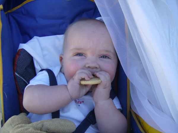 2007 10 12 albufuria algarve 2007 harrylangridge 073 jpg