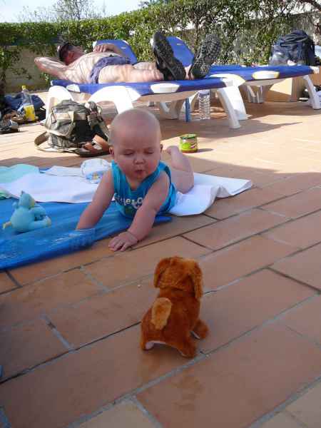 2007 10 13 albufuria algarve 2007 harrylangridge 074 jpg